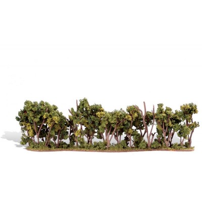 WS3582 CLASSIC TREES, hedge row, 1-4"