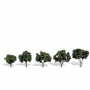 WS3548 CLASSIC TREES, cool shade, 1 1/4 - 2"