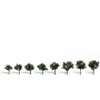 WS3547 CLASSIC TREES, cool shade, 3/4-1-1/4"