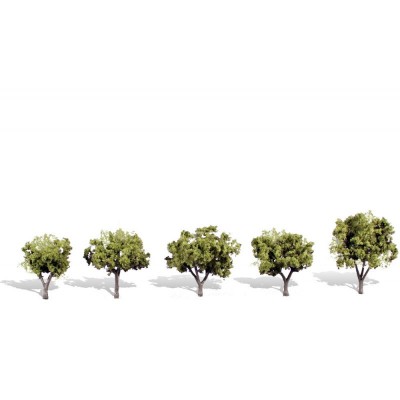 WS3546 CLASSIC TREES, early light, 1 1/4-2"