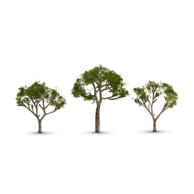 WS3525 CLASSIC TREES-GUM TREE 2 1/2 - 3 1/2"