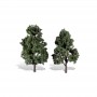 WS3517 CLASSIC TREES-COOL SHADE-6"-7"