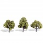 WS3509 CLASSIC TREES-EARLY LIGHT-4"-5"