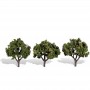 WS3507 CLASSIC TREES-SUN KISSED-3"-4"