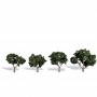 WS3505 CLASSIC TREES, cool shade 2-3"