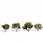 WS3503 CLASSIC TREES-EARLY LIGHT-2"-3"