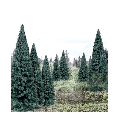 WS1588 4"-6" BLUE SPRUCE-13/PKGE.