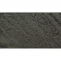 WS4641 POLLEN-charcoal