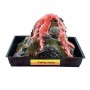 WS4251 ERUPTING VOLCANO CLASSROOM PACK...