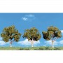 WS4149 LARGE DECIDUOUS 3pk 4"-5"