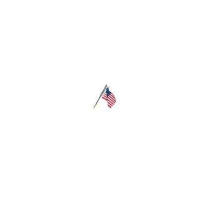 WS5953 SMALL US FLAG--WALL MOUNT