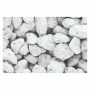 WS1285 EXTRA COARSE NATURAL TALUS (12oz vol)