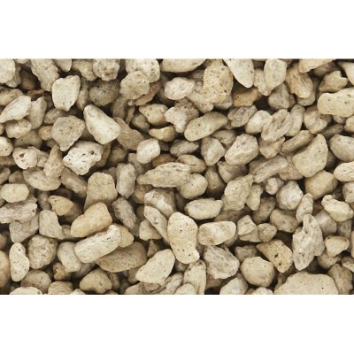 WS1272 COARSE BUFF TALUS (12oz vol)