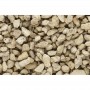 WS1272 COARSE BUFF TALUS (12oz vol)