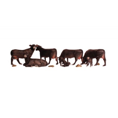 WS2217 N BLACK ANGUS COWS