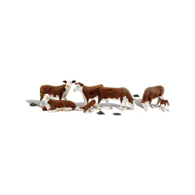 WS1843 HO HEREFORD COWS