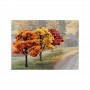 WS1577 3"-5"FALL DECID.VAL.PACK R-M TREES(14)