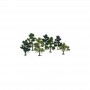 WS1103 5-7" TREE KITS (7)