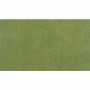 WS5171 SPRING GRASS ROLL 25x33"