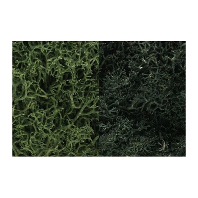 WS168 DARK GREEN MIX LICHEN(3QT/165CI)