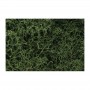 WS163 MEDIUM GREEN LICHEN(1.5QT/82CI)