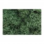 WS162 LIGHT GREEN LICHEN(1.5QT/82CI)