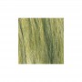 WS173 LIGHT GREEN FIELD GRASS(8GR)