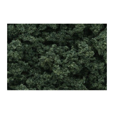 WS684 DK.GREEN CLUMP FOLIAGE(1QT/55CI)