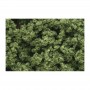 WS682 LIGHT GREEN CLUMP FOLIAGE(1QT/55CI)