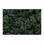 WS184 DARK GREEN CLUMP FOLIAGE(3QT/165CI)