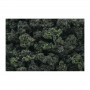 WS1649 FOREST BLEND BUSHES (32oz shaker)