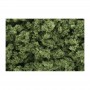 WS1645 LT.GREEN BUSHES (32 oz shaker)