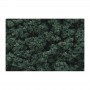 WS147 DARK GREEN BUSHES CLUMP FOLIAGE(18CI)