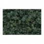 WS136 MED.GREEN UNDERBRUSH CLUMP FOL(18CI)