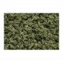 WS134 OLIVE GREEN UNDERBRUSH CLUMP FOL (18CI)