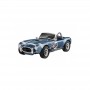 REV07669 AC COBRA 289 1/25