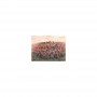 ITA6095 NAPOLEONIC WARS-BRIT.INF.1815 1/72