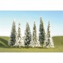 BAC32002 HO SCALE TREES-5"-6"PINE TREES w snow(6)