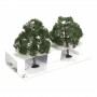 BAC32207 O 5" WALNUT TREES (2PK) *1