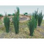 BAC32505 ALL SCALES SCENERY-cattails -3/4" tall (24pk)