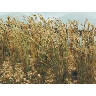 BAC32508 ALL SCALES SCENERY-wheat 1" tall (40pk) *1