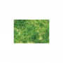 BAC32602 FOLIAGE-LIGHT GREEN-MEDIUM-30 CU.INCHES