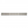 BAC94652 BRASS TRACK-LGE.SCALE-3' STRAIGHT(12)*12