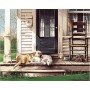 DIM91742 LAZY DOG DAY, 20x16