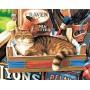 DIM91655 CAT SIGNS, 14x11