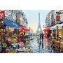 DIM91651 PARIS FLOWER SHOP, 20x14