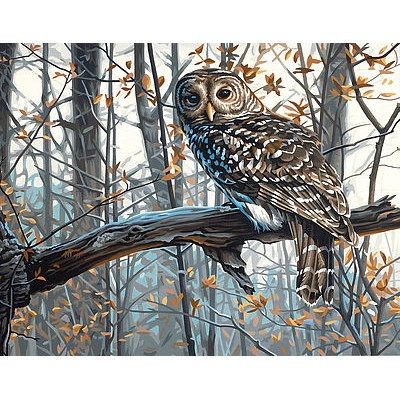 DIM91428 WISE OWL, 14x11