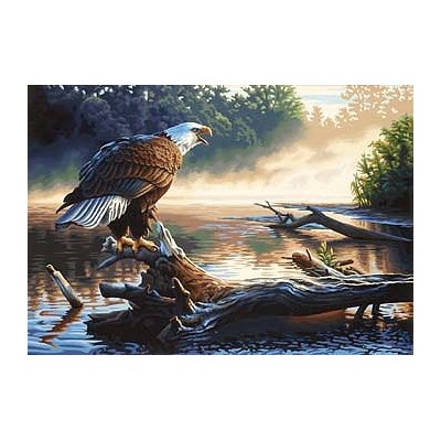 DIM91379 EAGLE HUNTER, 20x14