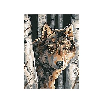 DIM91325 WOLF AMONG BIRCHES, 9x12