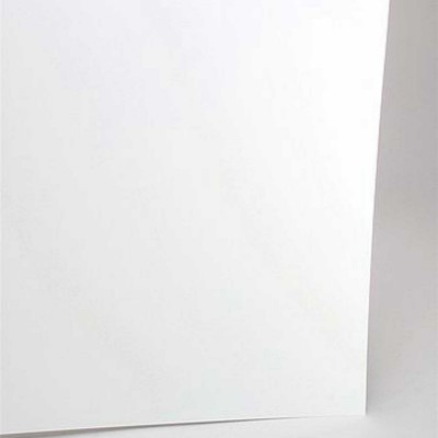 EVG19100 SHEETS .100" THICK 12x24" 2/pk *1